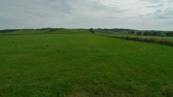 c0212083_15594066.jpg