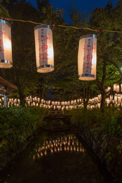 松尾大社 八朔祭_e0051888_07112388.jpg