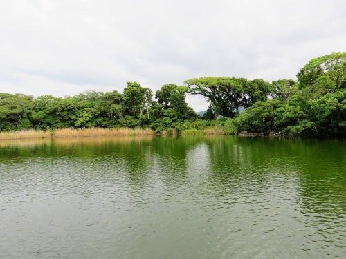 a0057402_12233163.jpg