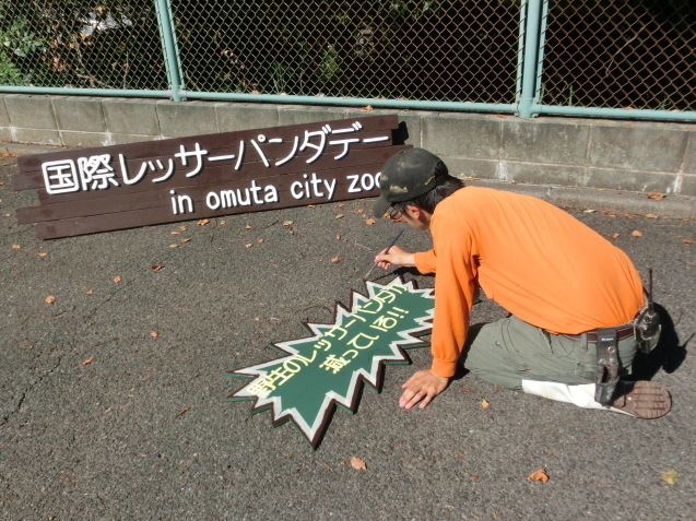 国際レッサーパンダデーイベント準備中_c0290504_08343026.jpg