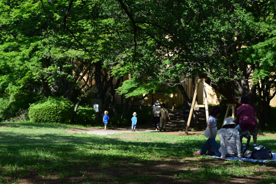 東京多摩市の旧多摩聖蹟記念館(建築家・関根要太郎作品再訪)_f0142606_20343222.jpg