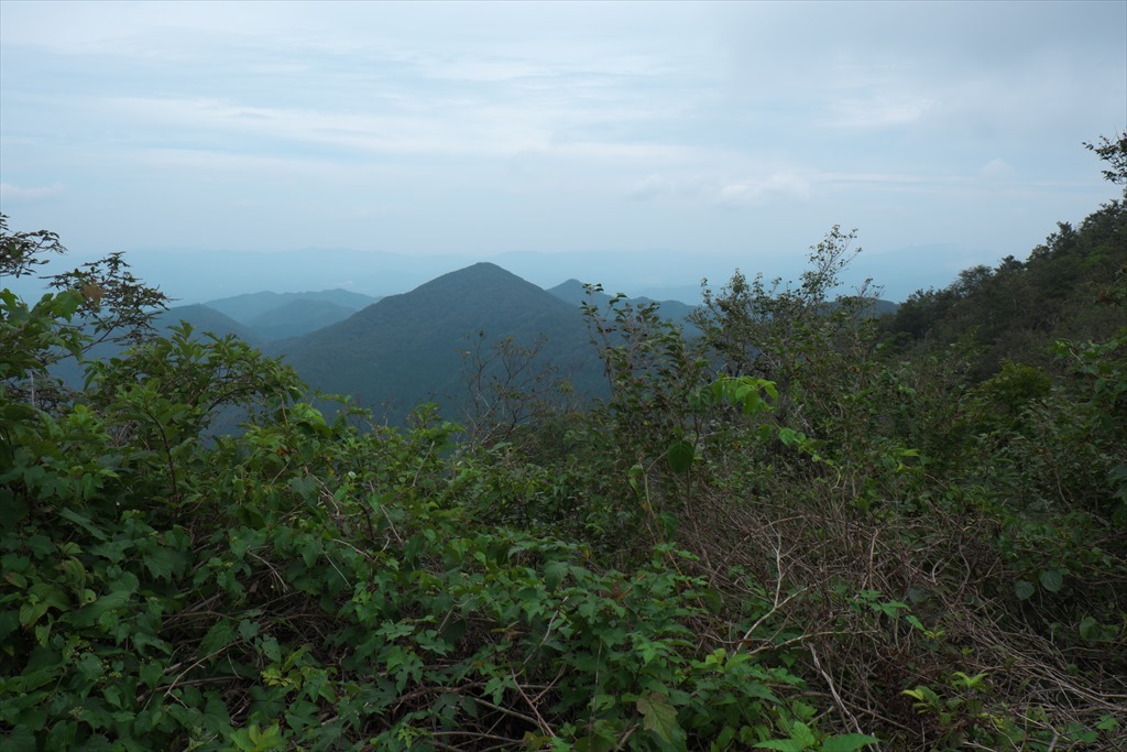 [山]藪漕ぎ三昧(;_;)猿政山－毛無山－大毛無山－蔀山縦走下見歩き(2018/09/06)_c0346710_16353357.jpg