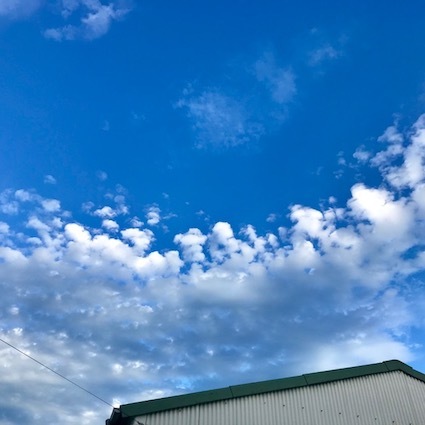 c0200314_13401437.jpg