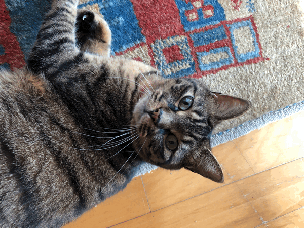 b0268815_09472316.gif