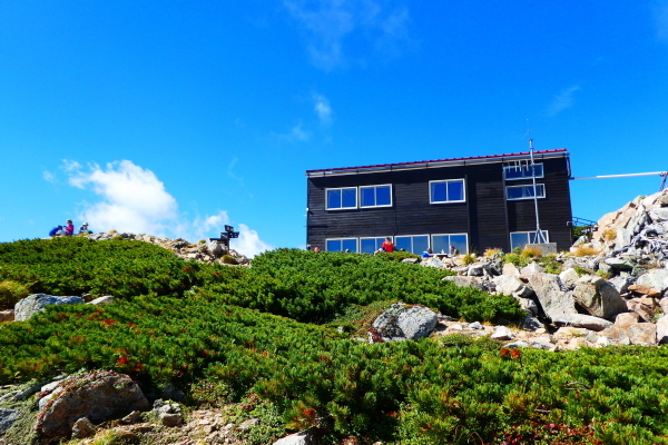d0170615_17265701.jpg