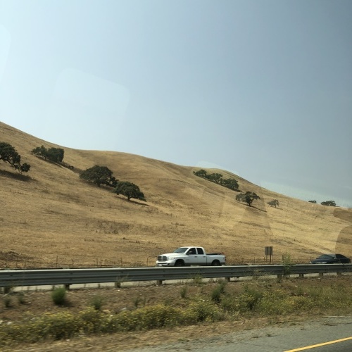 e0049318_11314826.jpg