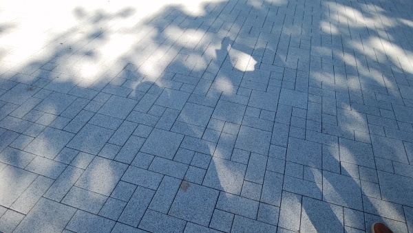 e0265618_17295266.jpg