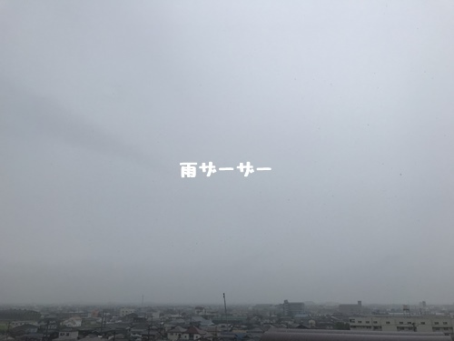 雨ザーザーで気温が下がる_f0251618_16405414.jpg