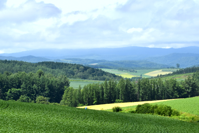 d0072720_111251.jpg