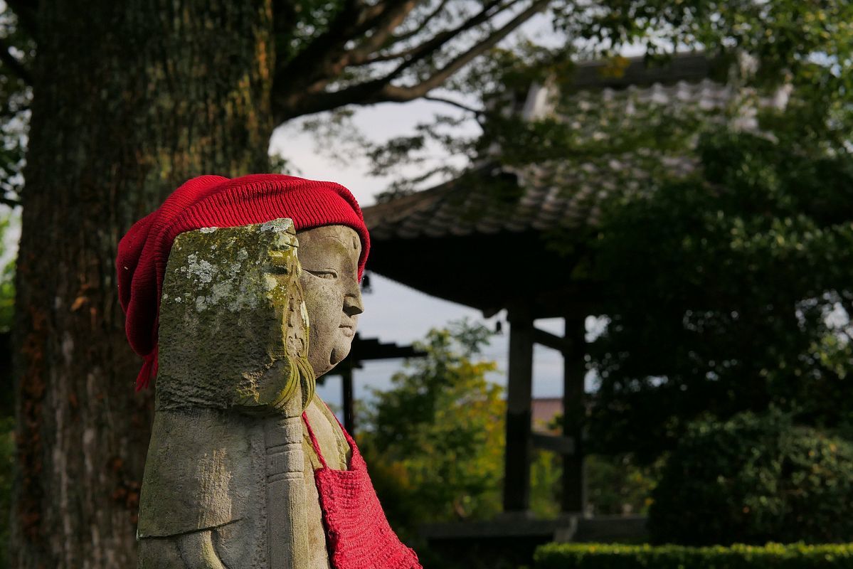 夏の終わりか・・・東国花の寺百花寺・・・常楽寺・太田市_a0031821_21305523.jpg