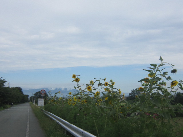 d0162225_23595889.jpg