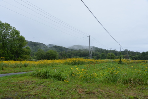 e0335926_12515929.jpg