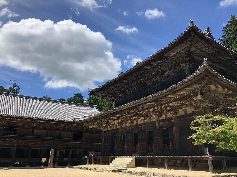 旅行にカメラは必要か？という問題_e0374932_07015395.jpg