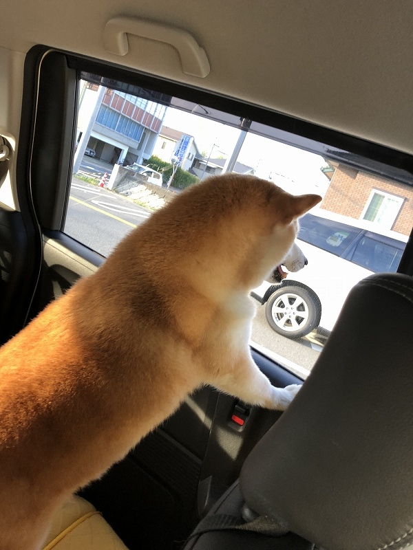 旅行にカメラは必要か？という問題_e0374932_07020616.jpg