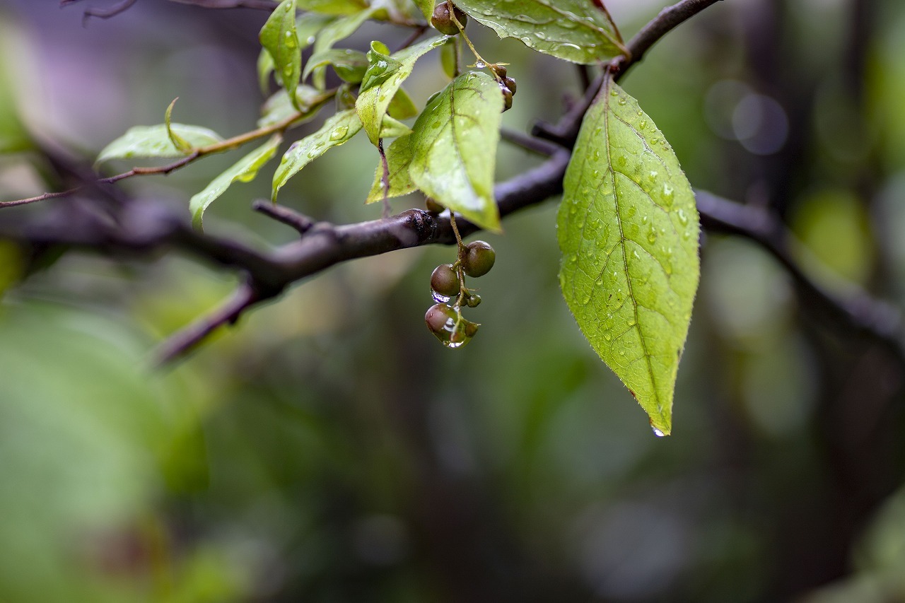 f0297537_11572606.jpg