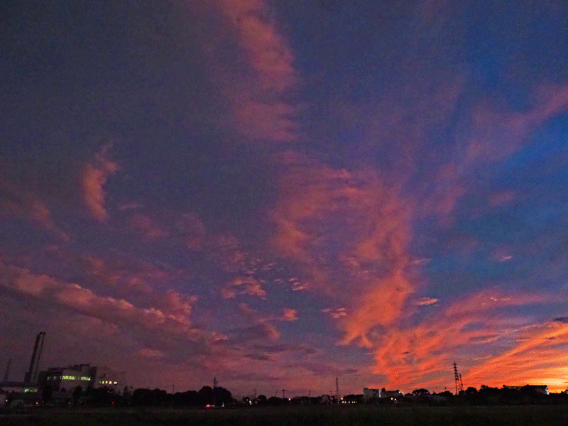 d0290240_17371948.gif