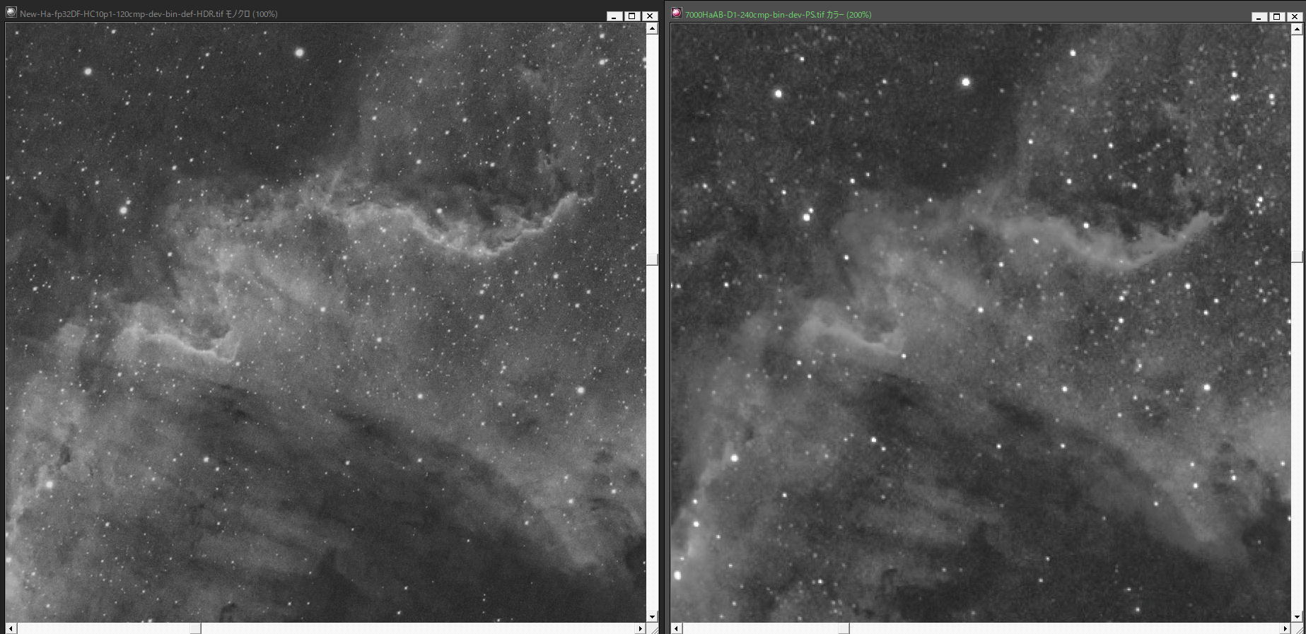 『ガチBORG』 VS 『にせBORG』_f0346040_01521006.jpg