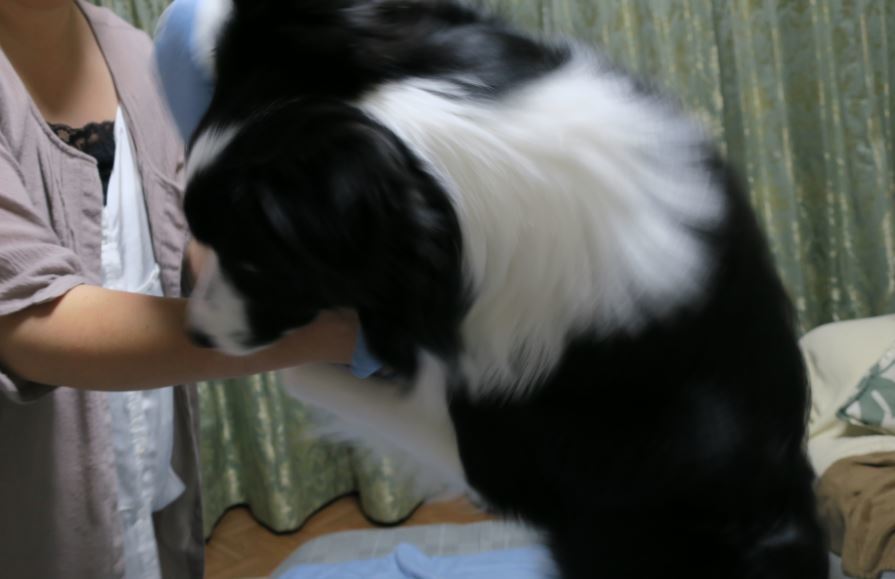 c0147241_22451553.jpg