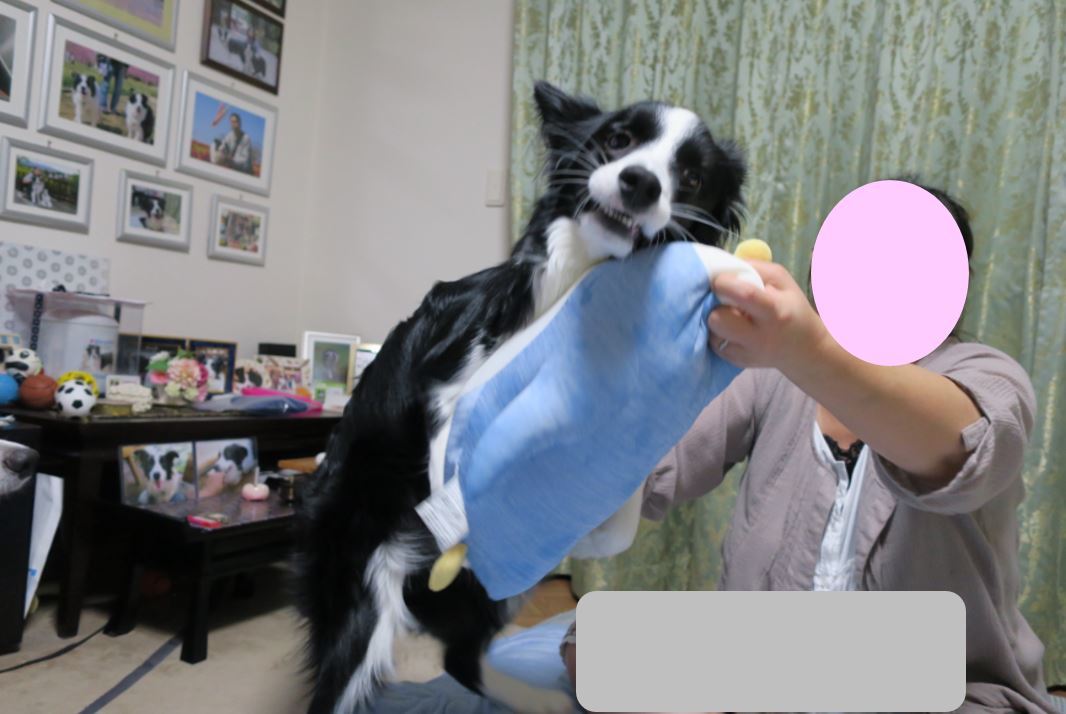 c0147241_22471747.jpg