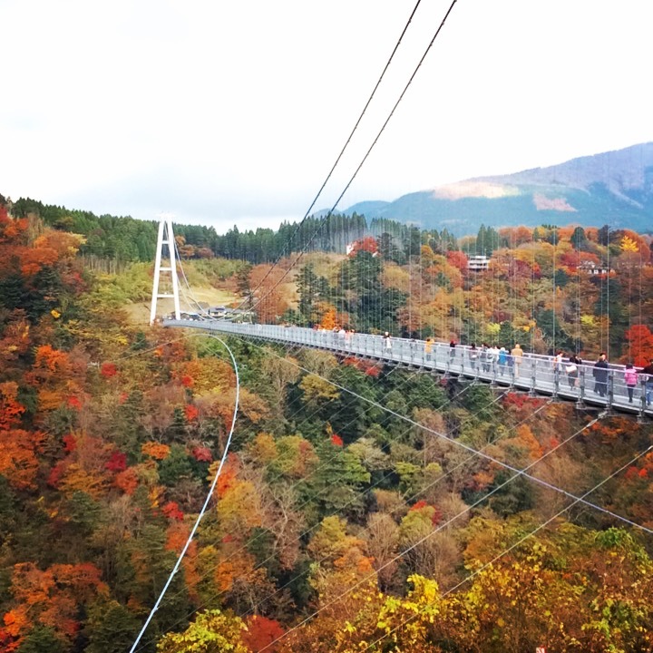 b0125443_16032628.jpeg