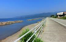 c0119160_10291942.png