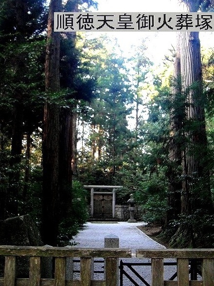 c0119160_11222053.jpg