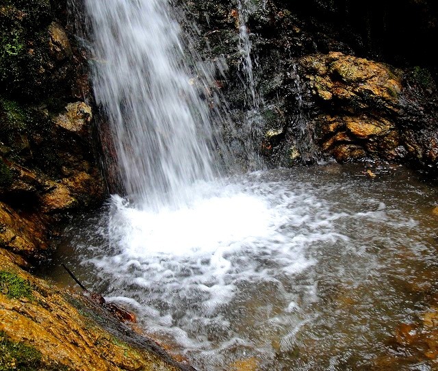 c0119160_14575647.jpg