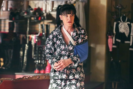 Ncis シーズン15 Ep 21 22 The Wheel Of Fortune Ncis シーズン15 Ep 21 22 The Wheel Of Fortune