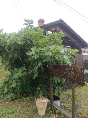 削りとタタラ_d0195183_02512766.jpg