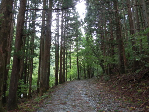 b0334084_05085659.jpg