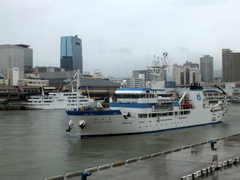 b0192588_9275039.jpg