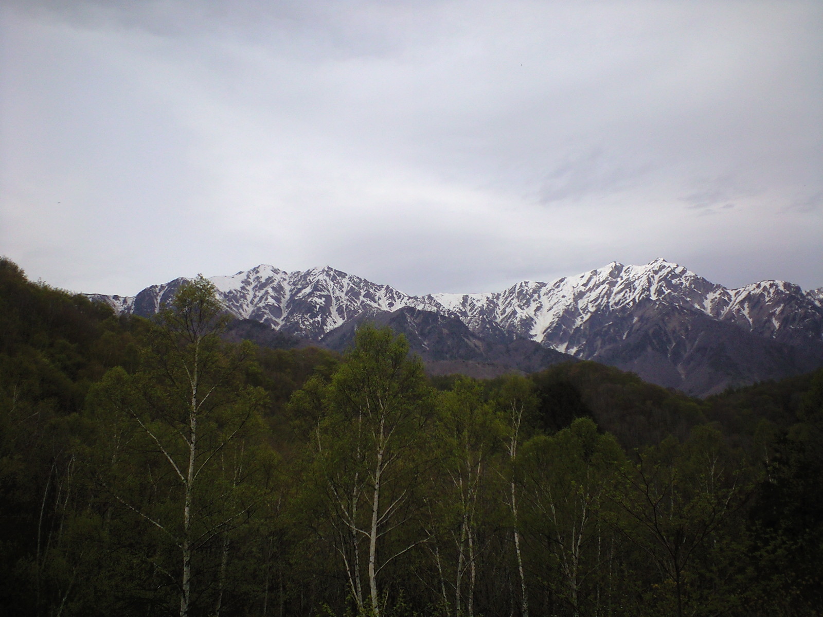e0359590_17101548.jpg