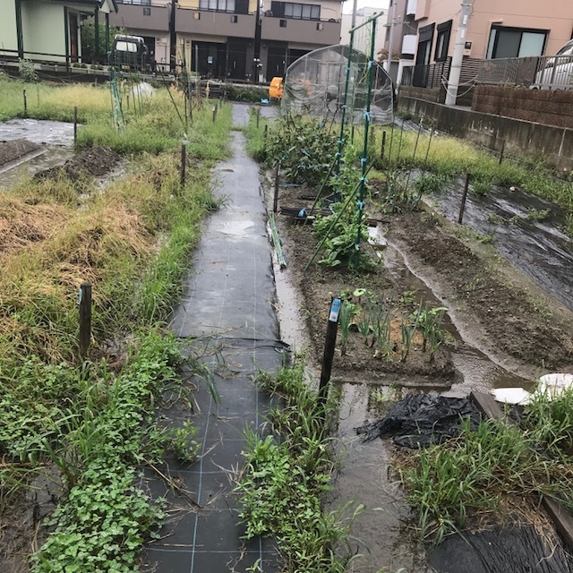 f0204295_19205930.jpg