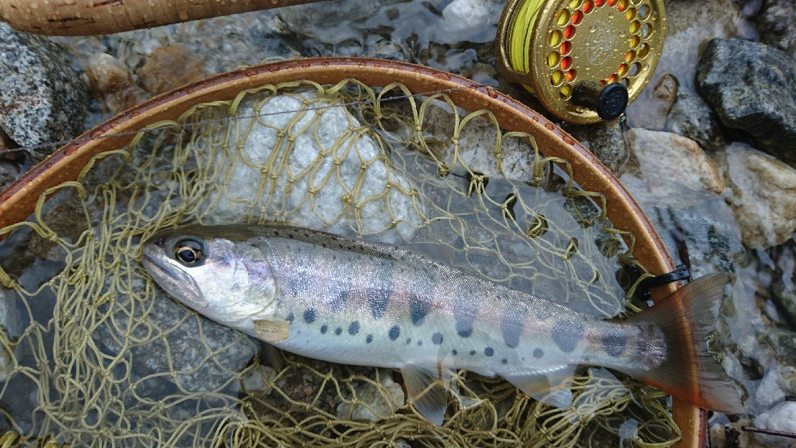 a0104199_18353323.jpg