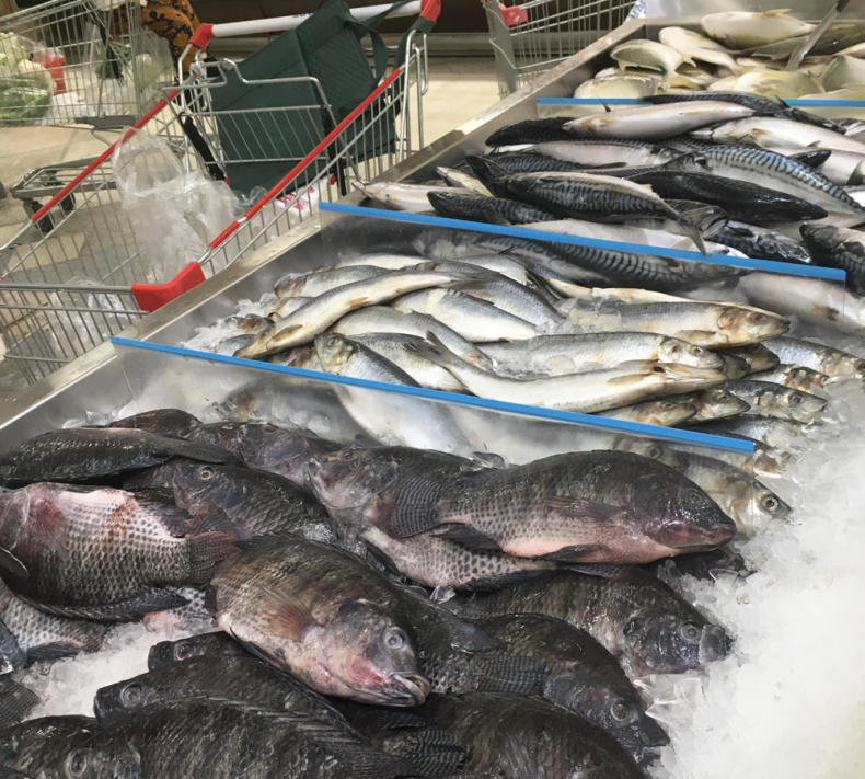 アメリカのお魚事情 3人育児 海外