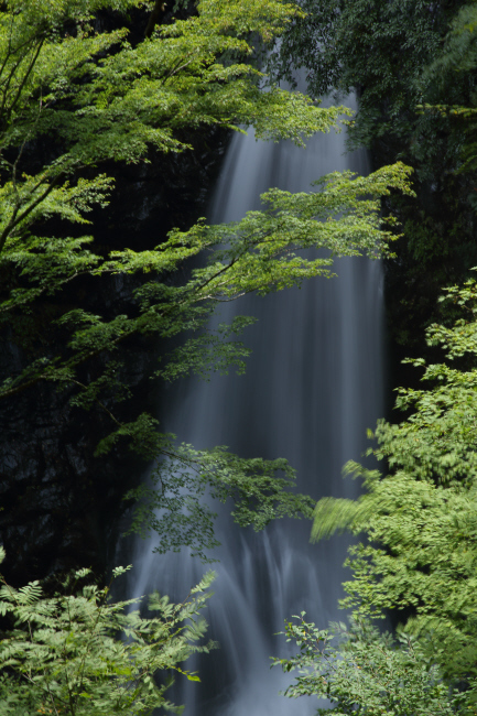 清涼に 小中(こなか)大滝 _a0357206_20530007.jpg