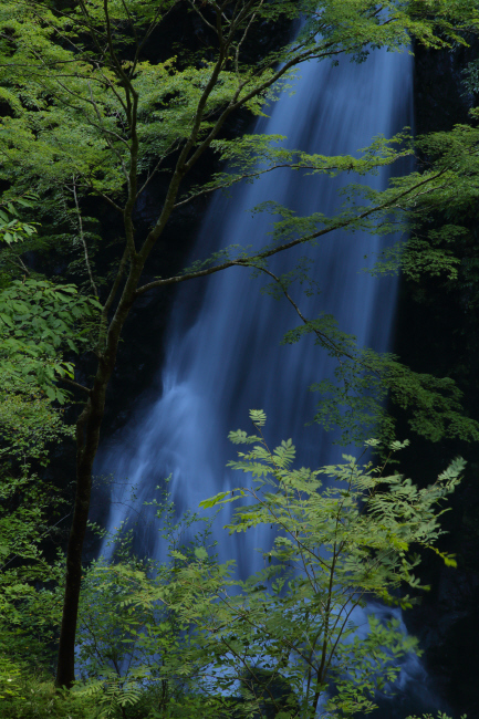 清涼に 小中(こなか)大滝 _a0357206_20531478.jpg