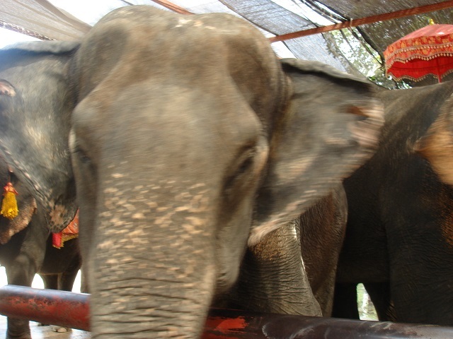 c0112206_21234238.jpg