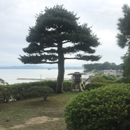 富山県氷見温泉郷 小旅行 4/6 氷見温泉 永芳閣_f0191007_13384891.jpg