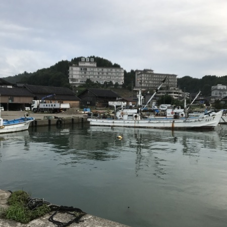 富山県氷見温泉郷 小旅行 4/6 氷見温泉 永芳閣_f0191007_13500658.jpg