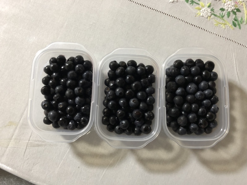 b0293908_20374686.jpeg