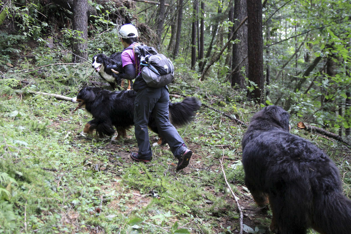 デンジャラスな登山_f0137508_13142215.jpg