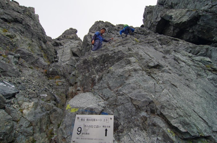 f0195813_11500042.jpg
