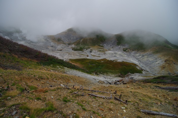 f0195813_11514793.jpg