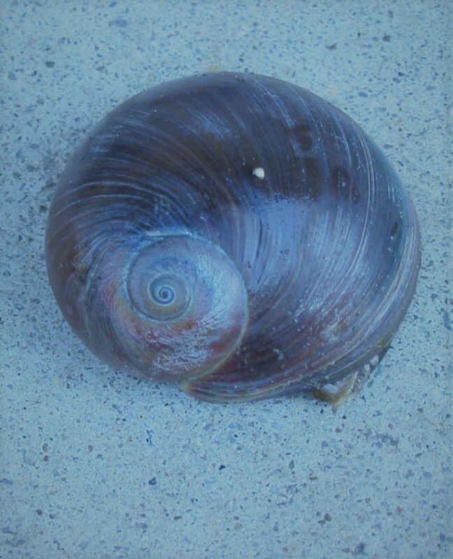 b0080718_13163648.png