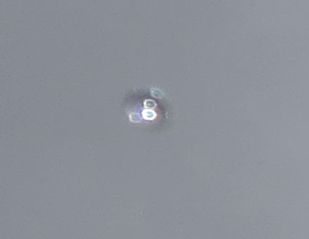 c0331825_03272300.jpg