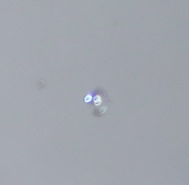 c0331825_03275539.jpg