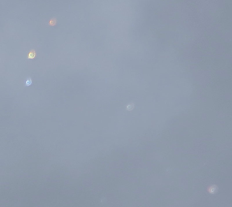 c0331825_03370479.jpg