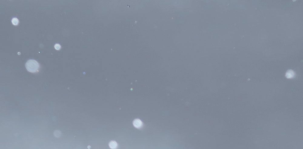 c0331825_03382391.jpg