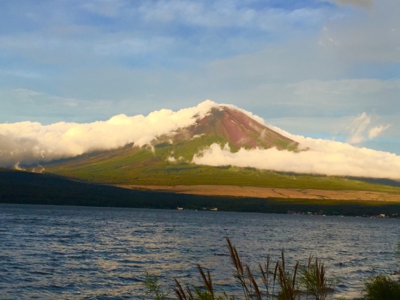 d0086225_23415536.jpeg